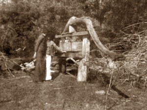Nesta foto de 1978 um dos últimos torchios feito por ele ainda em funcionamento na casa da tia Eulália.